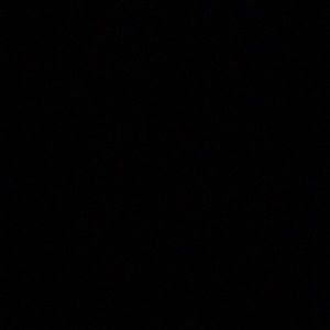 Meet your Posher, Trevor